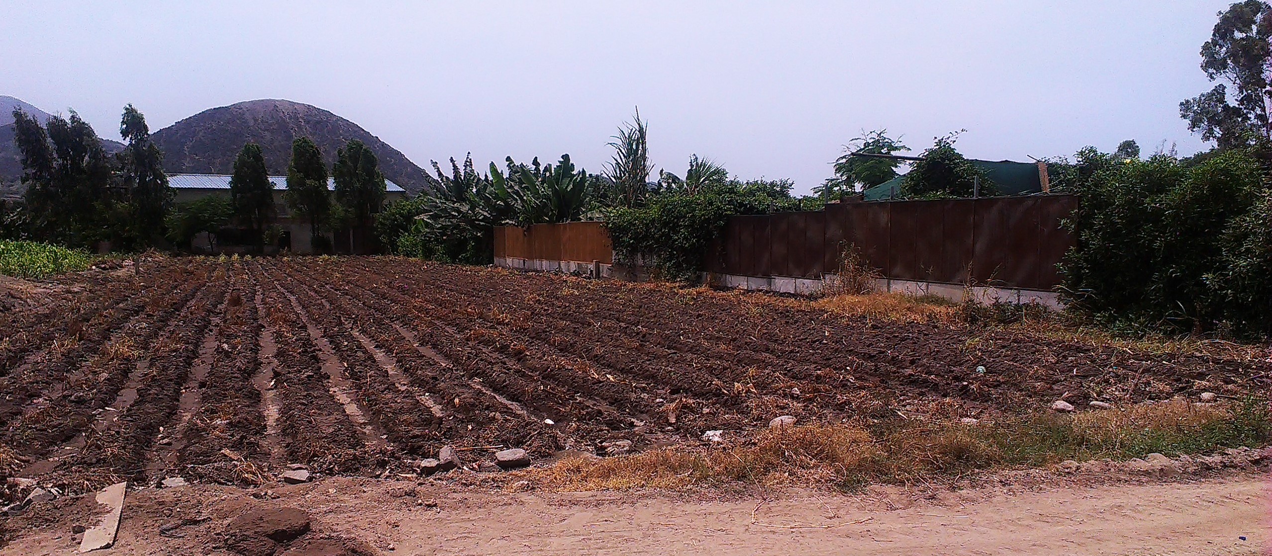 TERRENO 1288 M2 EN PACHACAMAC POR AV. VICTOR MALASQUEZ 